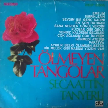 Şecaettin Tanyerli
