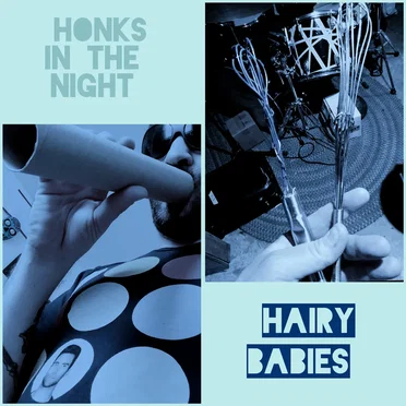 HONKS IN THE NIGHT