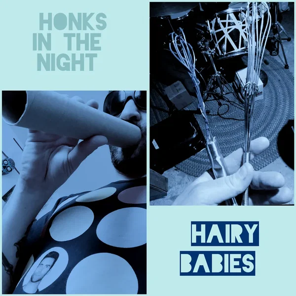 HONKS IN THE NIGHT