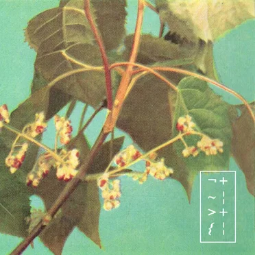 Rain Over Mountain by Tanizaki - album cover
