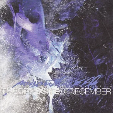 The Opposite of December… A Season of Separation