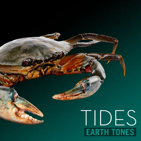 Tides