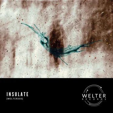 WELTER205 by Insulate - album cover