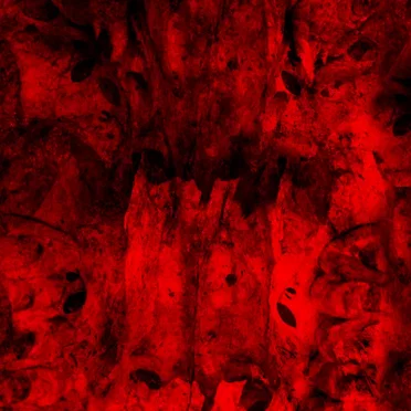 Red Marrow: The Re-Mixes and Interpretations