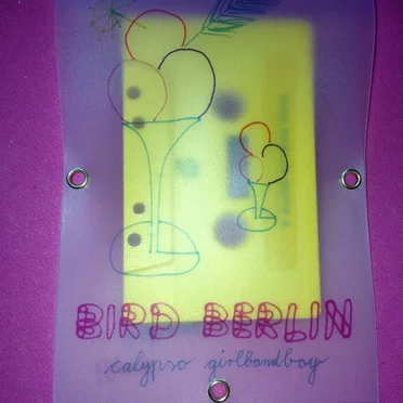 Calypso by Bird Berlin - album cover