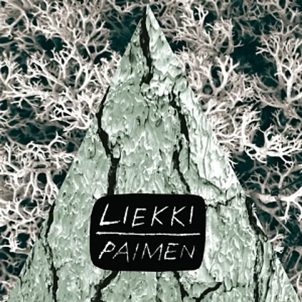 Paimen