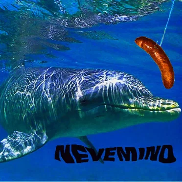 Nevemind by Various Artists - album cover