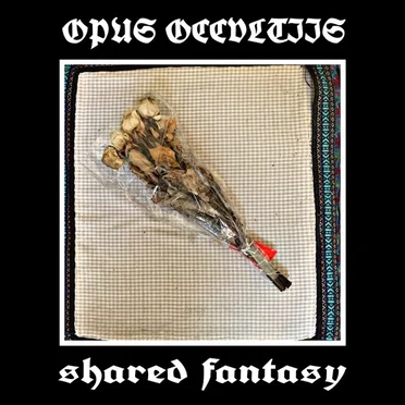 Shared Fantasy