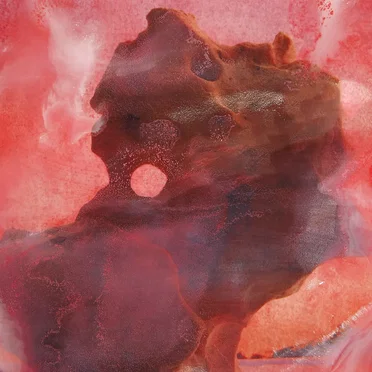 Lobster by Alice Roosevelt - album cover