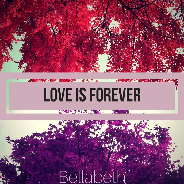 Love is Forever