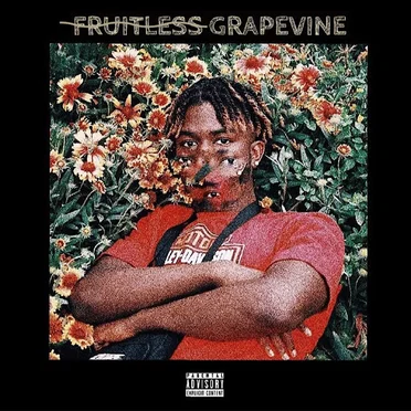 Fruitless Grapevine by UD - album cover