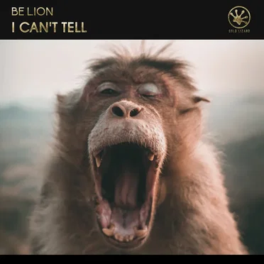 I Can’t Tell by Be Lion - album cover