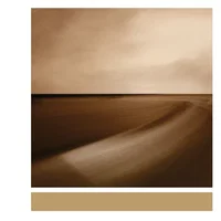 Leo Abrahams artist image