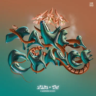 Take a Chance (CASSIMM remix)