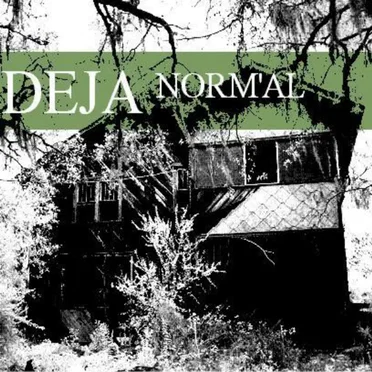From Atop A Burning Building by Deja Norm’al - album cover