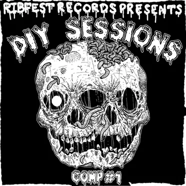DIY Sessions Comp #1 by Various Artists - album cover