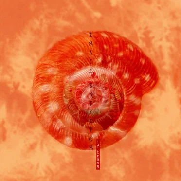 Snail Skeleton by Ly Trang - album cover