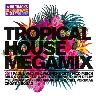 Tropical House Megamix