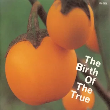 The Birth of the True by Various Artists - album cover