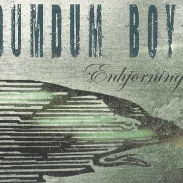 Enhjørning by DumDum Boys - album cover