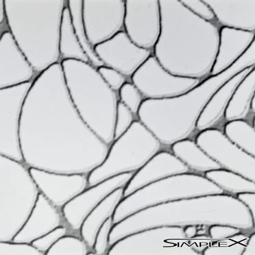 SimpleX