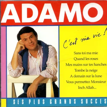 C'est ma vie ! Ses plus grands succès