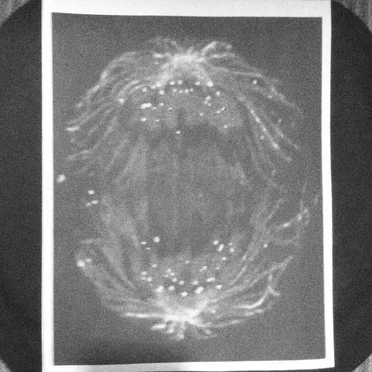 Anaphase EP by Maroje T - album cover