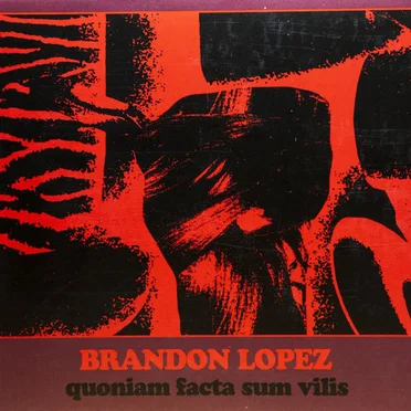 quoniam facta sum vilis