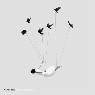 While You Were Gone by Vestbo Trio - album cover