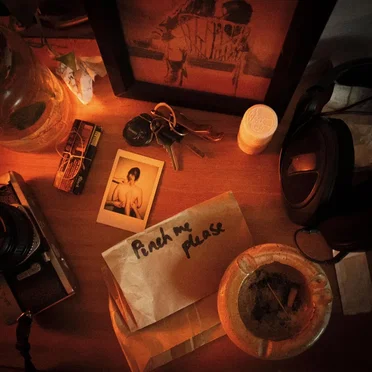 Pinch Me Please by Oscar the Wild - album cover