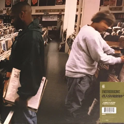 Endtroducing.....
