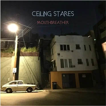Mouthbreather