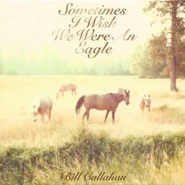 Sometimes I Wish We Were an Eagle