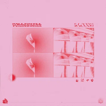 Aloosh by Volleyball - album cover