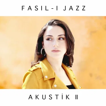 Akustik II