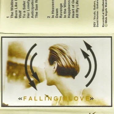 Falling In Love