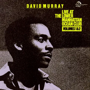 Live at the Lower Manhattan Ocean Club