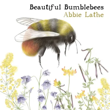 Beautiful Bumblebees by This Little Tractor - album cover