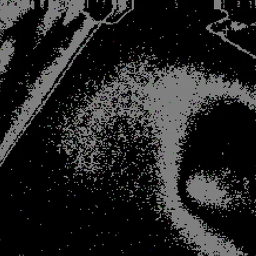 The Passage of Time and Other Absurdities