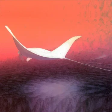 O N Y X X 雲