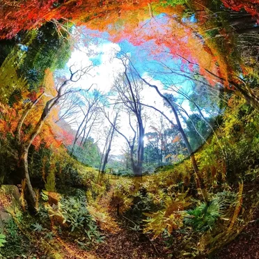 Cryptozoon X LIVE 2012