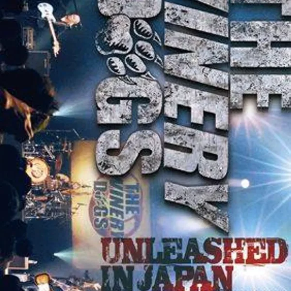 Unleashed in Japan 2013