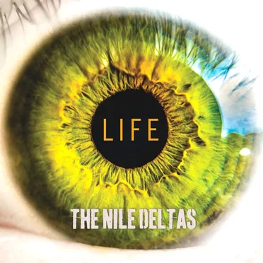 Life by The Nile Deltas - album cover