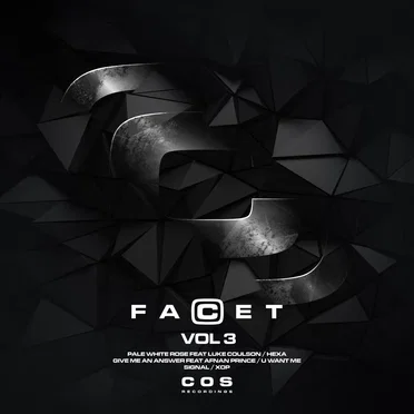FaCet, Vol.3