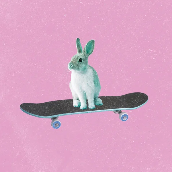 Curious Alice / It's Very Sunny