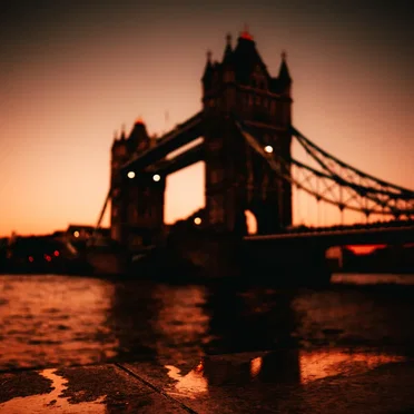 The Bridge