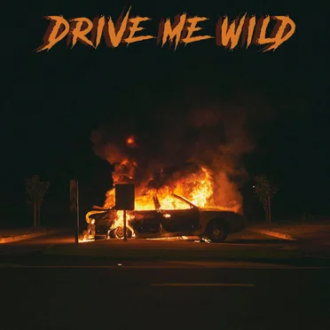 Drive Me Wild
