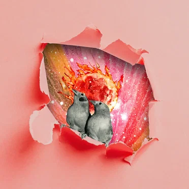 Fièvre Humaine by Zaza Fournier - album cover