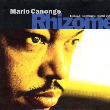 Rhizome