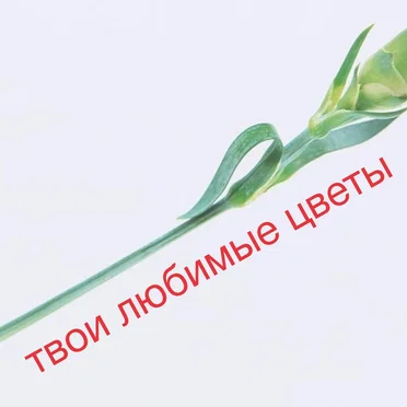 твои любимые цветы